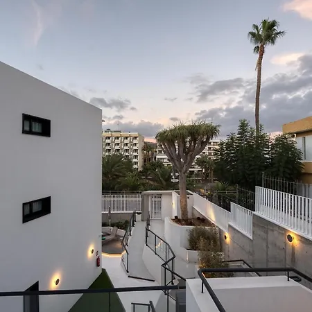 Apartment B Slow Condor