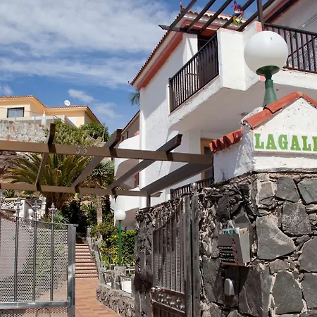 La Galea *