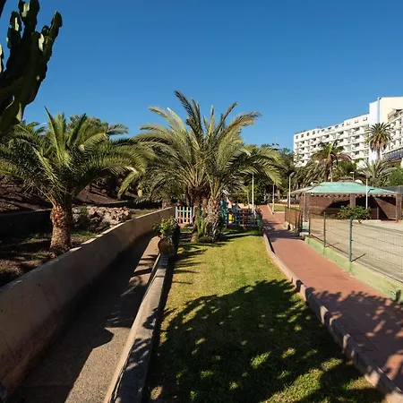 B Slow Condor * San Agustin (Gran Canaria)