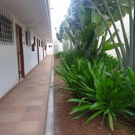 Apartment El De Concha