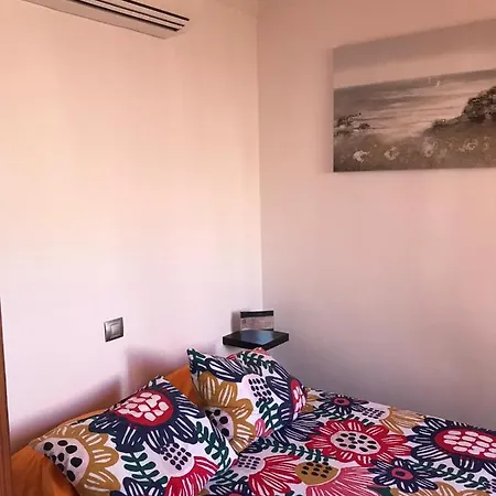 Dona Claudia - 2019-t5513 *