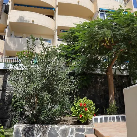 Nera * San Agustín