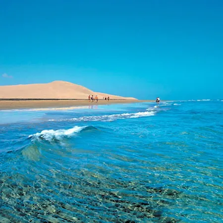 Bluebay Club