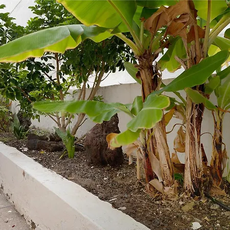 Pippa's House Apartment San Agustin (Gran Canaria)