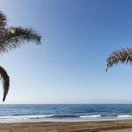 Amapola Palms - Recien Reformado, Frente Al Mar *