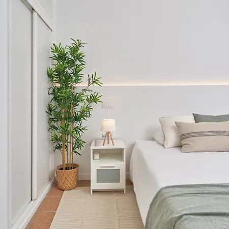 Timon Apartment