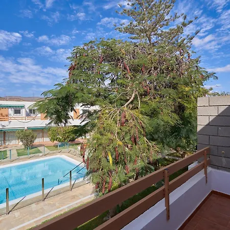Timon San Agustin (Gran Canaria)