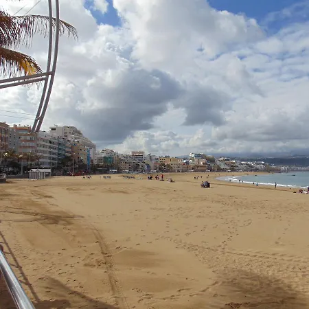 Coral * San Agustin (Gran Canaria)