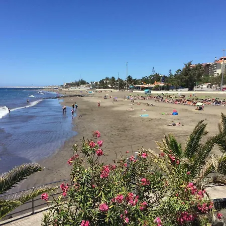 Los Acebuches Apartamento San Agustín