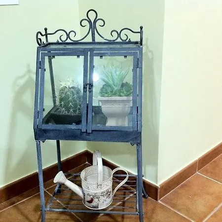 Triana Luxury San Agustín